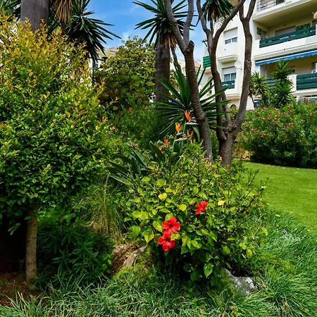 Brisa De Banus By Lica Homes *